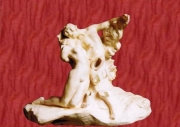 RODIN_EPR_P_G