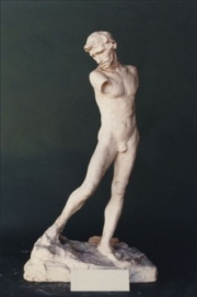 RODIN_EPWN_P