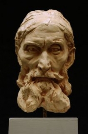 RODIN_TESP_P