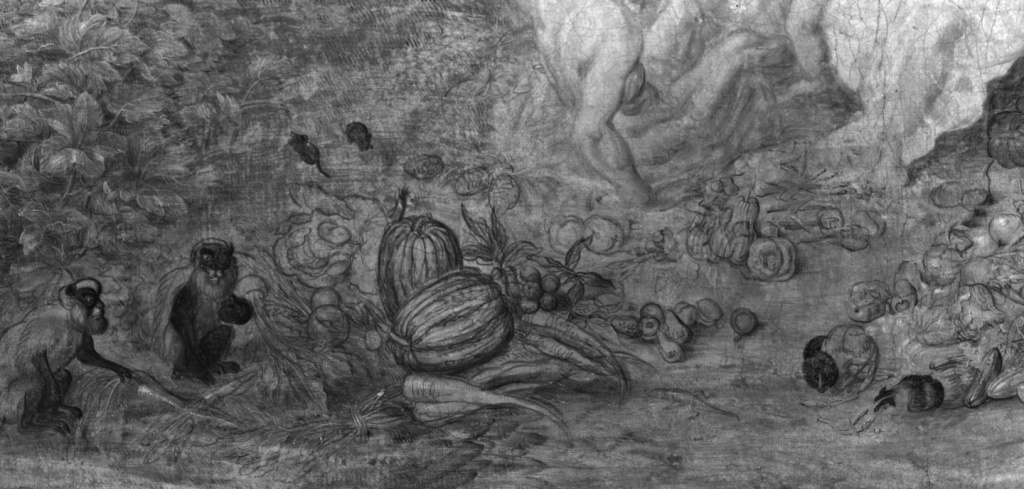 IR examinantion Brueghel - The Four Elements - Earth 16
