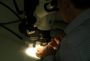 Labo Gilles Perrault microscopie optique