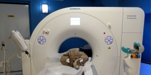 Laboratoire Gilles Perrault tomographie scanner