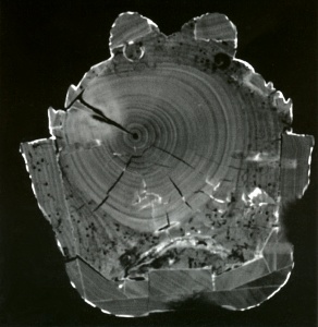 The tomographic cross-sections (scanned) produced using x-rays enables a very precise visualisation of all internal work on wooden or ceramic sculptures.